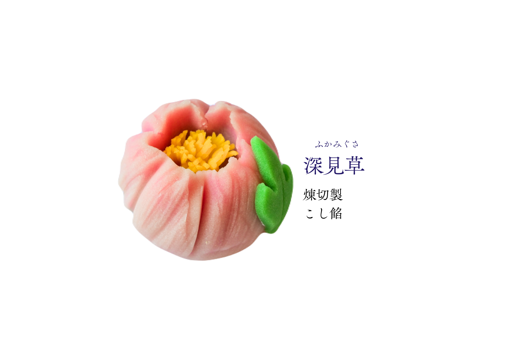 水無月の和生菓子 | 紅屋重正