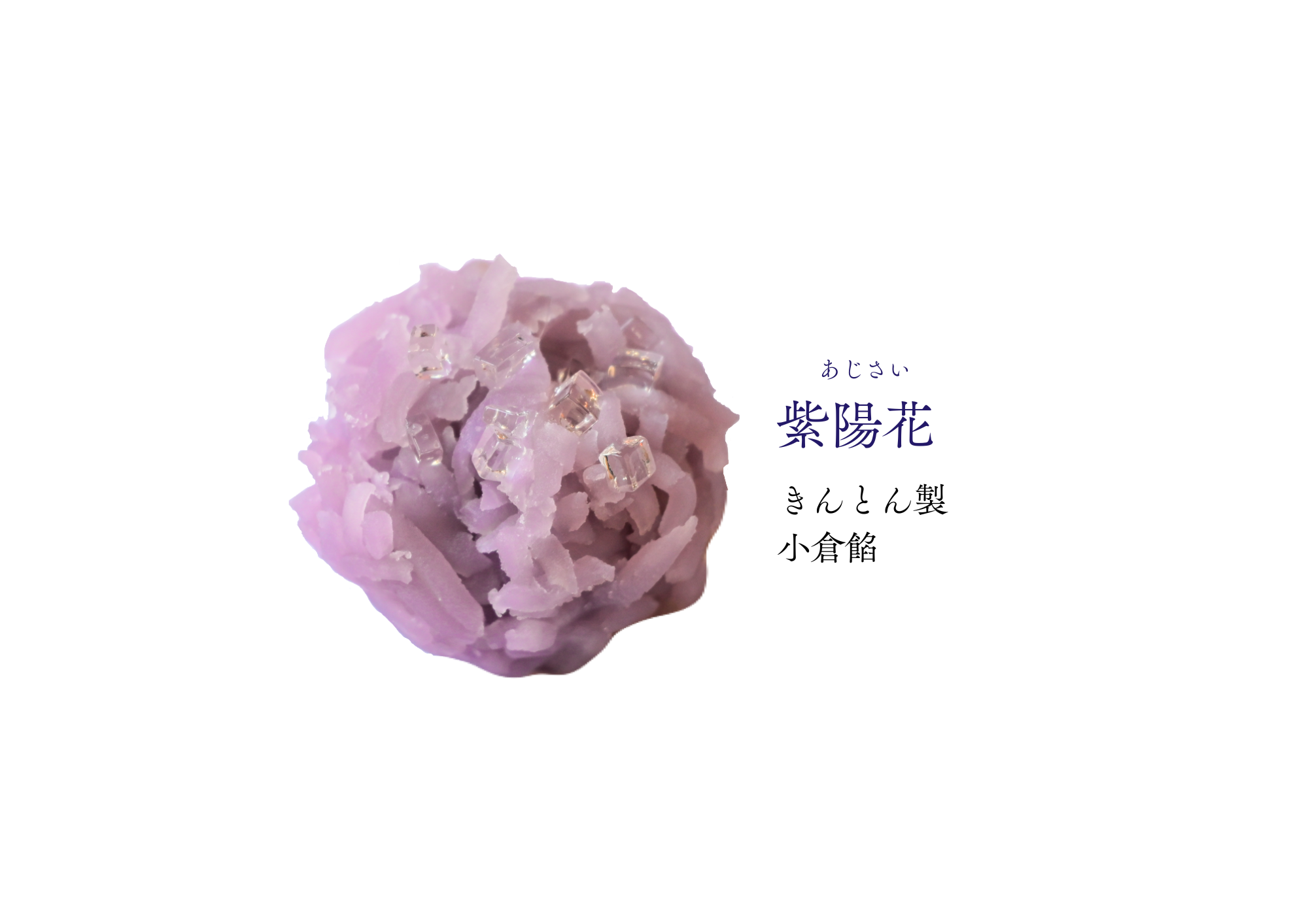 水無月の和生菓子 | 紅屋重正