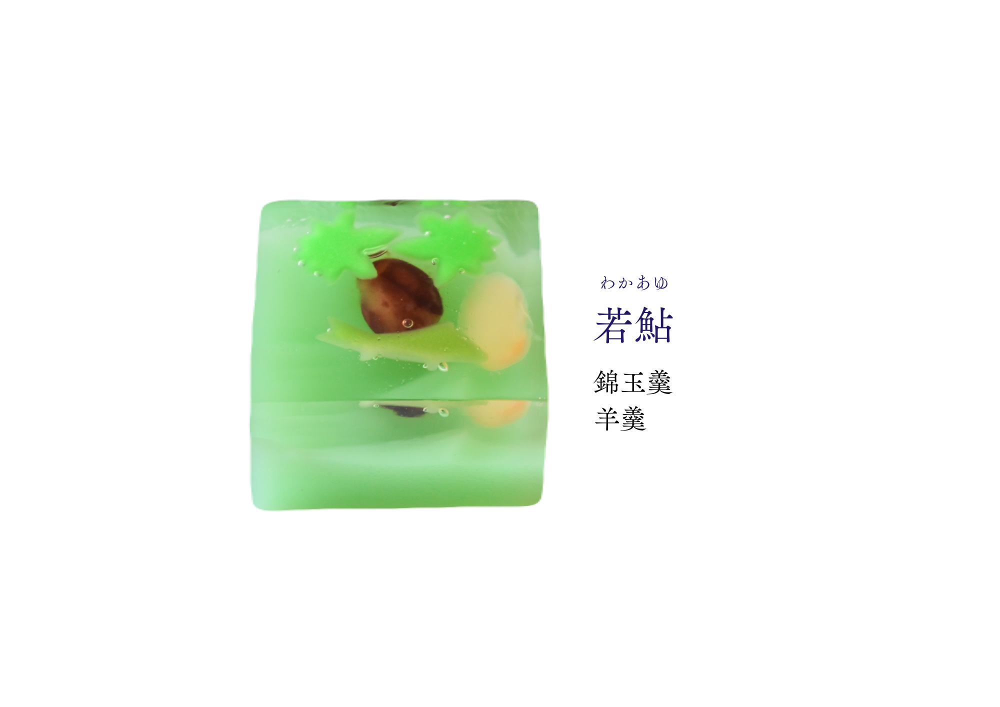 水無月の和生菓子 | 紅屋重正
